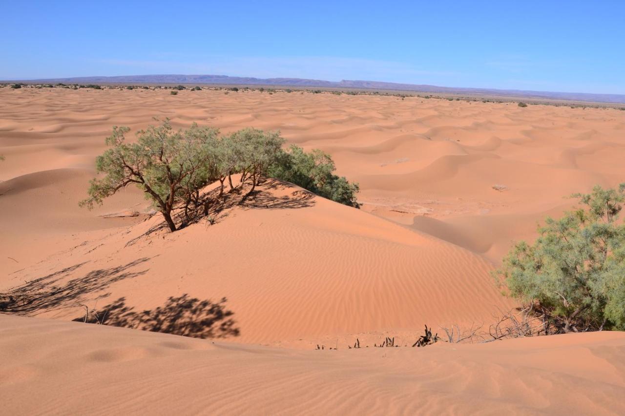 فندق Camp Mbark Authentic محاميد الغزلان المظهر الخارجي الصورة